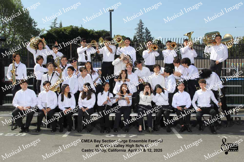 Musical Images